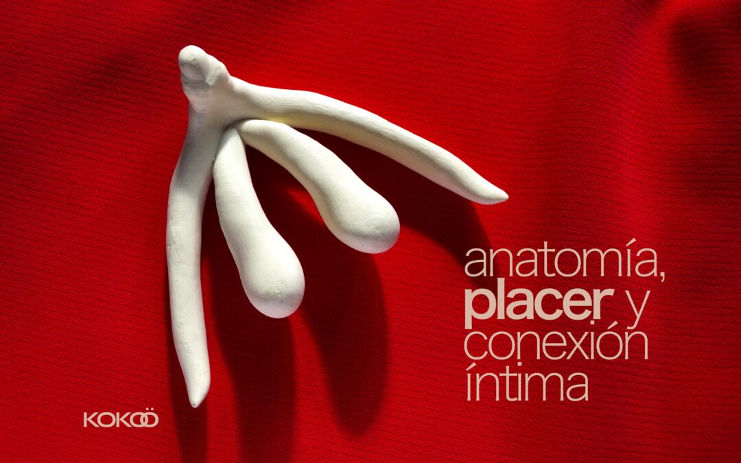El clítoris femenino y su poder oculto: anatomía, placer y conexión íntima