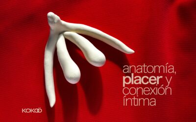 El clítoris femenino y su poder oculto: anatomía, placer y conexión íntima